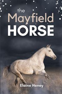 Cover image for The Mayfield Horse: Book 3 in the Connemara Horse Adventure Series for Kids. The perfect gift for children age 8-12