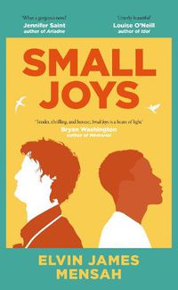 Cover image for Small Joys