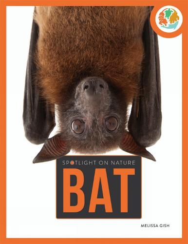 Cover image for Spotlight On Nature: Bat