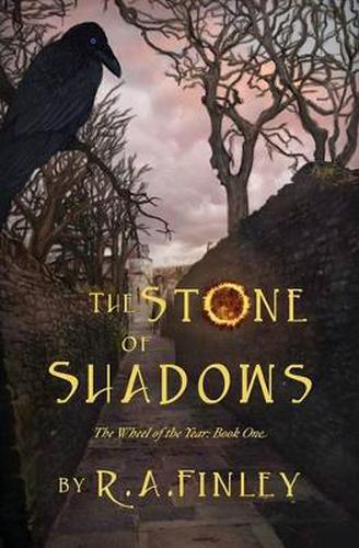 Cover image for The Stone of Shadows