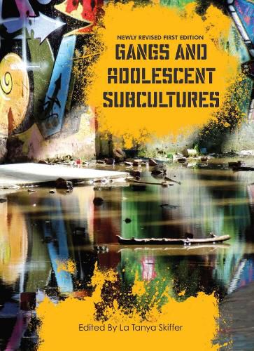 Cover image for Gangs and Adolescent Subcultures