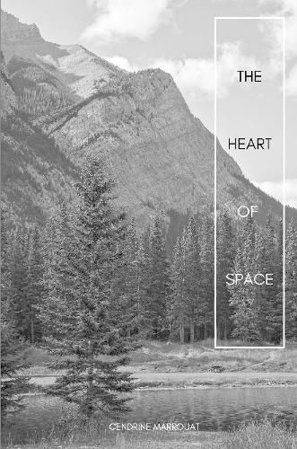 Cover image for The Heart of Space