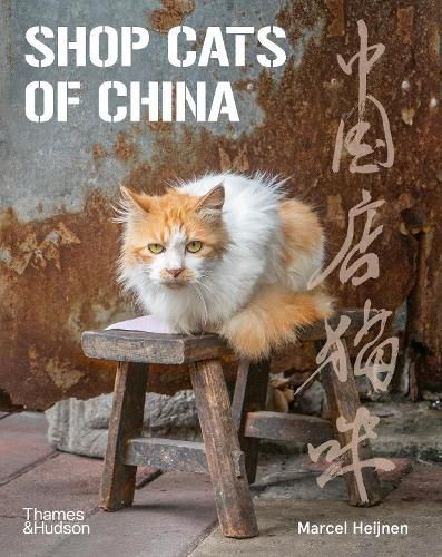Cover image for Shop Cats of China