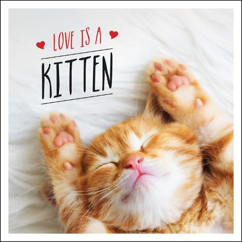 Cover image for Love is a Kitten: A Cat-Tastic Celebration of the World's Cutest Kittens