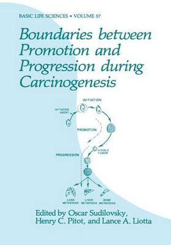 Cover image for Boundaries between Promotion and Progression during Carcinogenesis