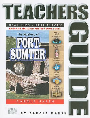 Cover image for The Mystery at Fort Sumter