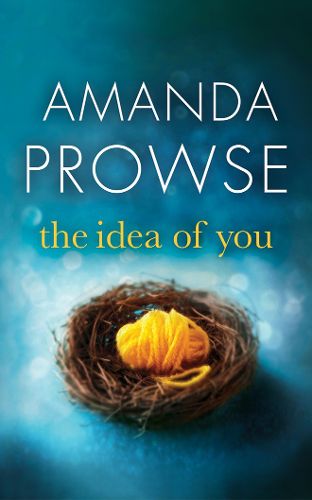 Cover image for The Idea of You