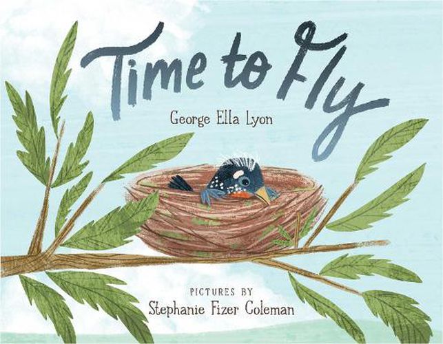 Cover image for Time to Fly