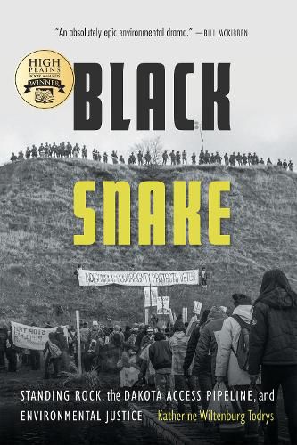 Cover image for Black Snake: Standing Rock, the Dakota Access Pipeline, and Environmental Justice