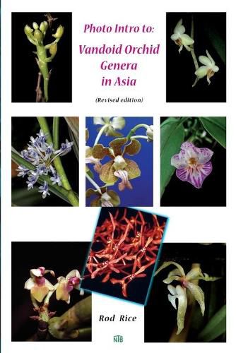 Cover image for Photo Intro to: Vandoid Orchid Genera in Asia