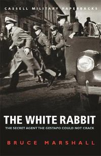 Cover image for The White Rabbit