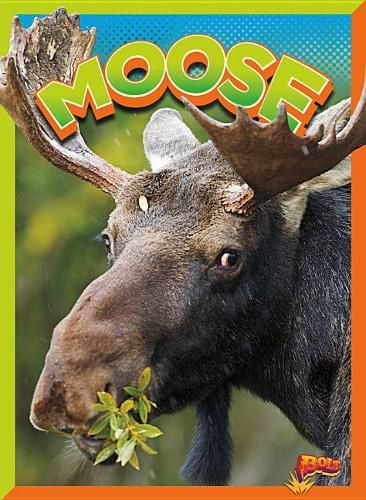 Cover image for Moose