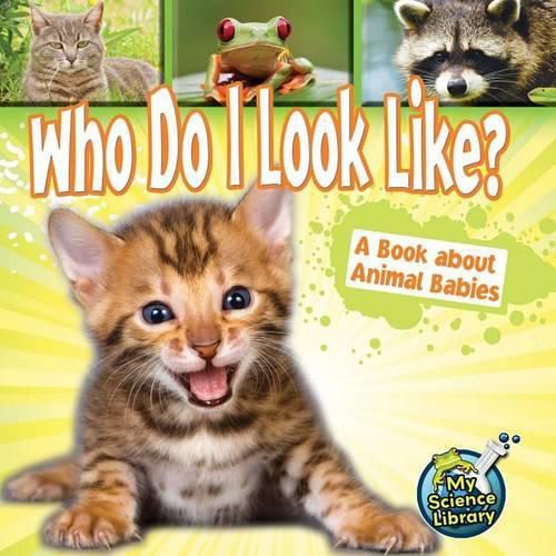 Who Do I Look Like?: A Book about Animal Babies