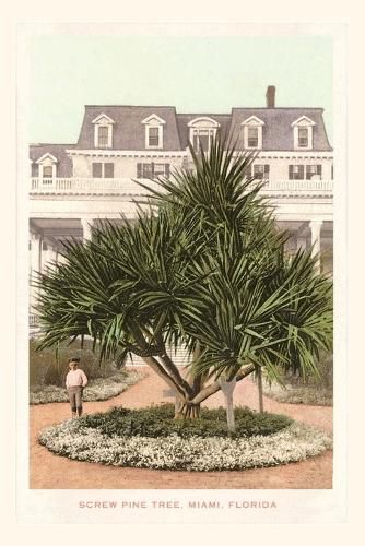 Cover image for Vintage Journal Screw Pine Tree, Miami, Florida