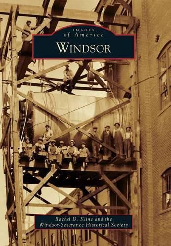 Cover image for Windsor