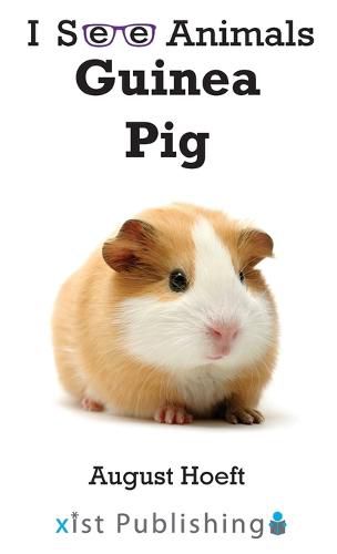 Cover image for Guinea Pig