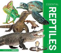 Cover image for Essential Reptiles