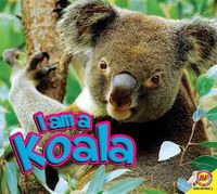 Cover image for I Am a Koala