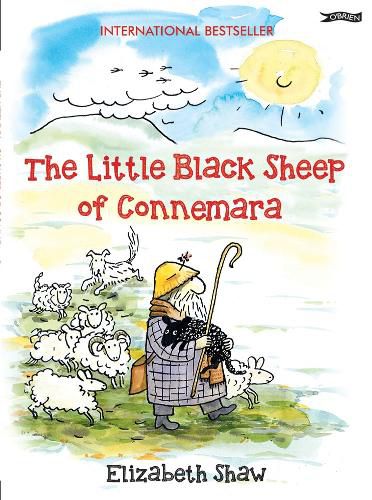 The Little Black Sheep of Connemara