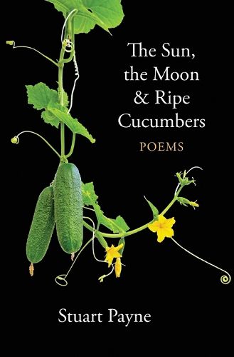 Cover image for The Sun, The Moon And Ripe Cucumbers