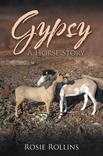 Cover image for Gypsy