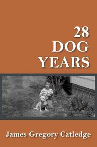 Cover image for 28 Dog Years