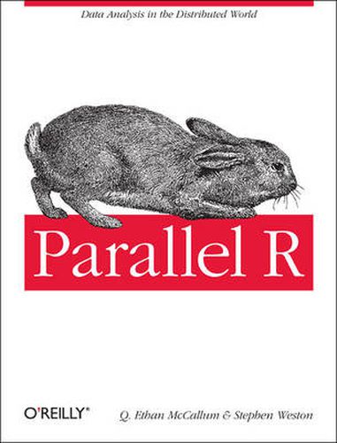 Cover image for Parallel R