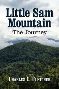 Cover image for Little Sam Mountain--The Journey