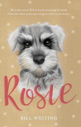 Cover image for Rosie