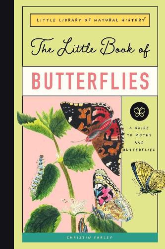 Little Book of Butterflies: A Guide to Moths and Butterflies