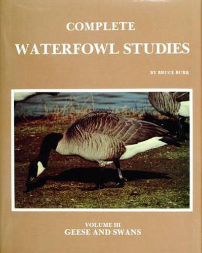 Cover image for Complete Waterfowl Studies