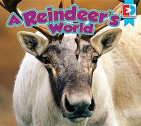 Cover image for A Reindeer's World