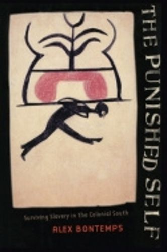 Cover image for The Punished Self: Surviving Slavery in the Colonial South