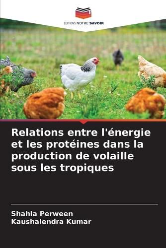 Cover image for Relations entre l'energie et les proteines dans la production de volaille sous les tropiques