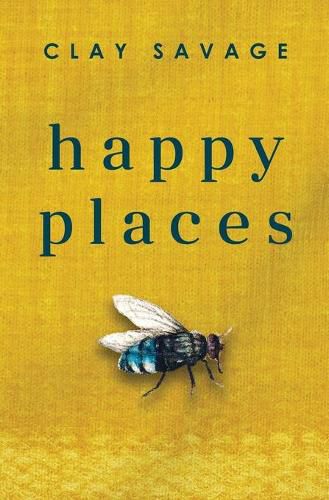 Cover image for Happy Places