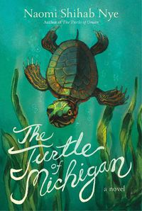 Cover image for The Turtle of Michigan: A Novel