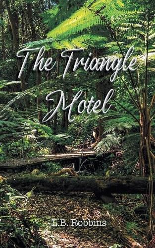 Cover image for The Triangle Motel