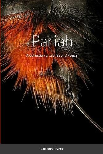 Cover image for Pariah