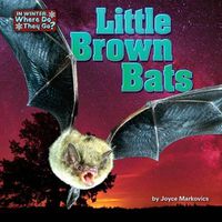 Cover image for Little Brown Bats