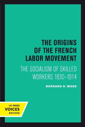 Cover image for The Origins of the French Labor Movement