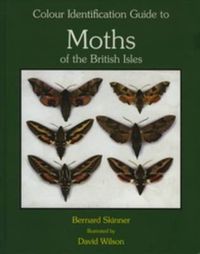 Cover image for Colour Identification Guide to the Moths of the British Isles: Macrolepidoptera. 3rd revised edition