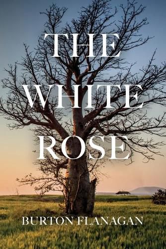 Cover image for The White Rose