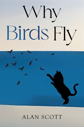 Cover image for Why Birds Fly