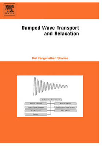 Cover image for Damped Wave Transport and Relaxation