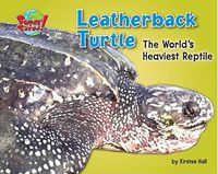 Cover image for Leatherback Turtle: The World's Heaviest Reptile
