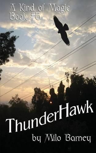 Cover image for ThunderHawk