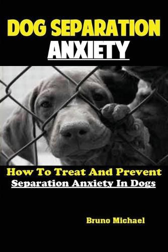 Cover image for Dog Separation Anxiety: How To Treat And Prevent Separation Anxiety In Dogs