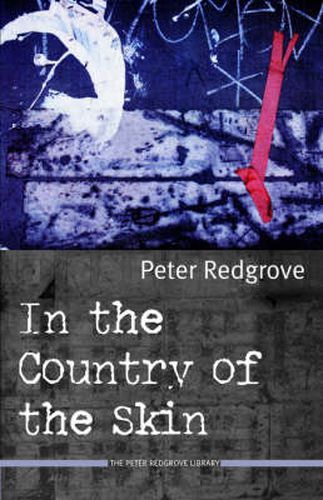 Cover image for In the Country of the Skin