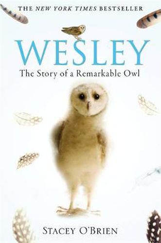 Cover image for Wesley: The Story of a Remarkable Owl