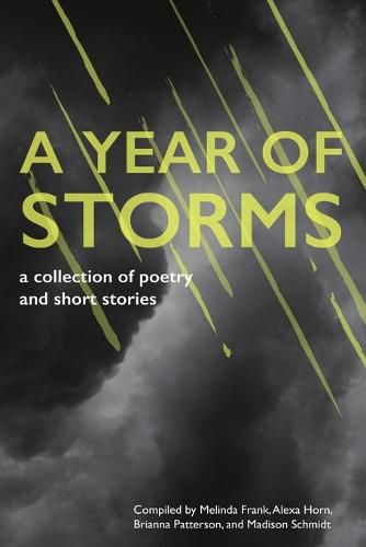 Cover image for A Year of Storms